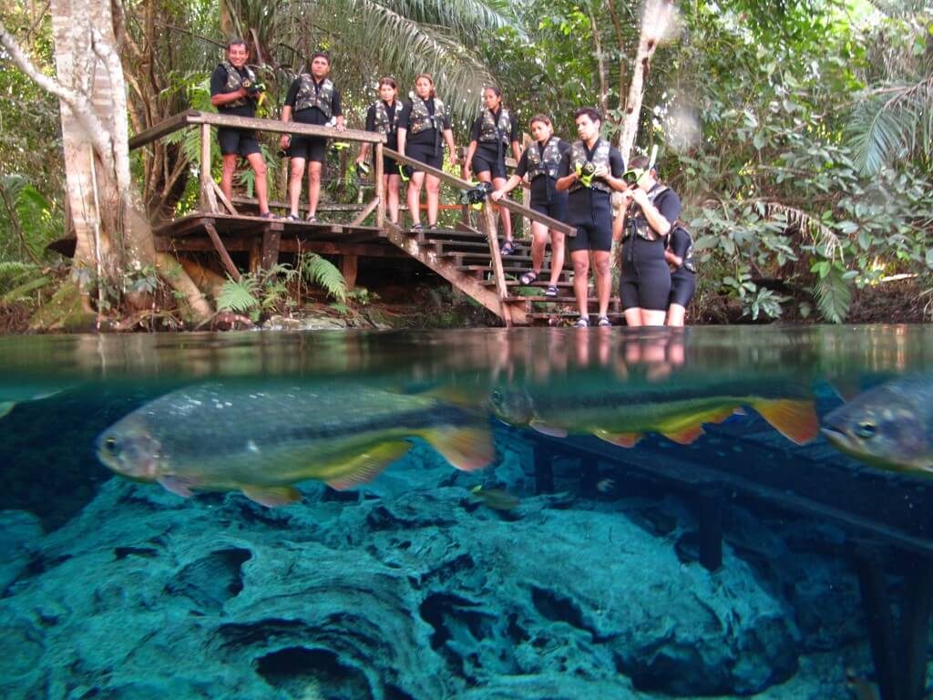 melhores-passeios-de-bonito-aquario-natural-bonito-ms (1)
