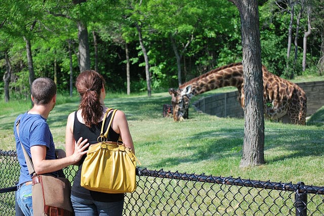 onde-ir-em-toronto-zoo