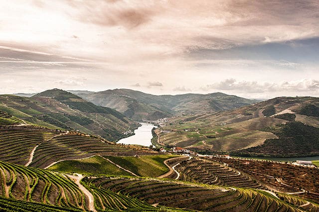 roteiro-em-porto-completo-vale-douro