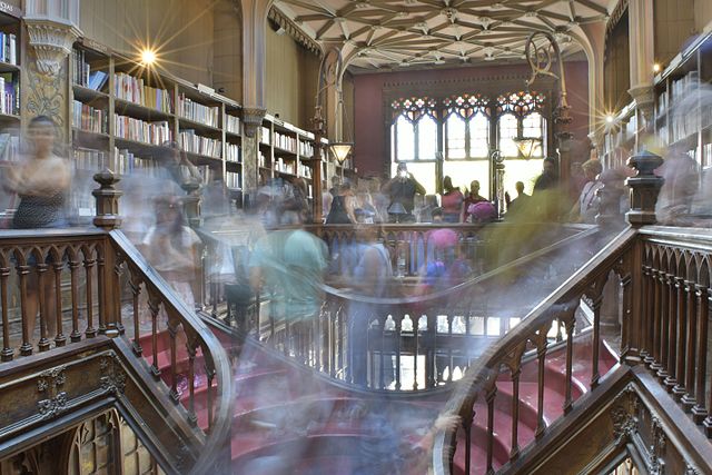 roteiro-em-porto-livraria-lello